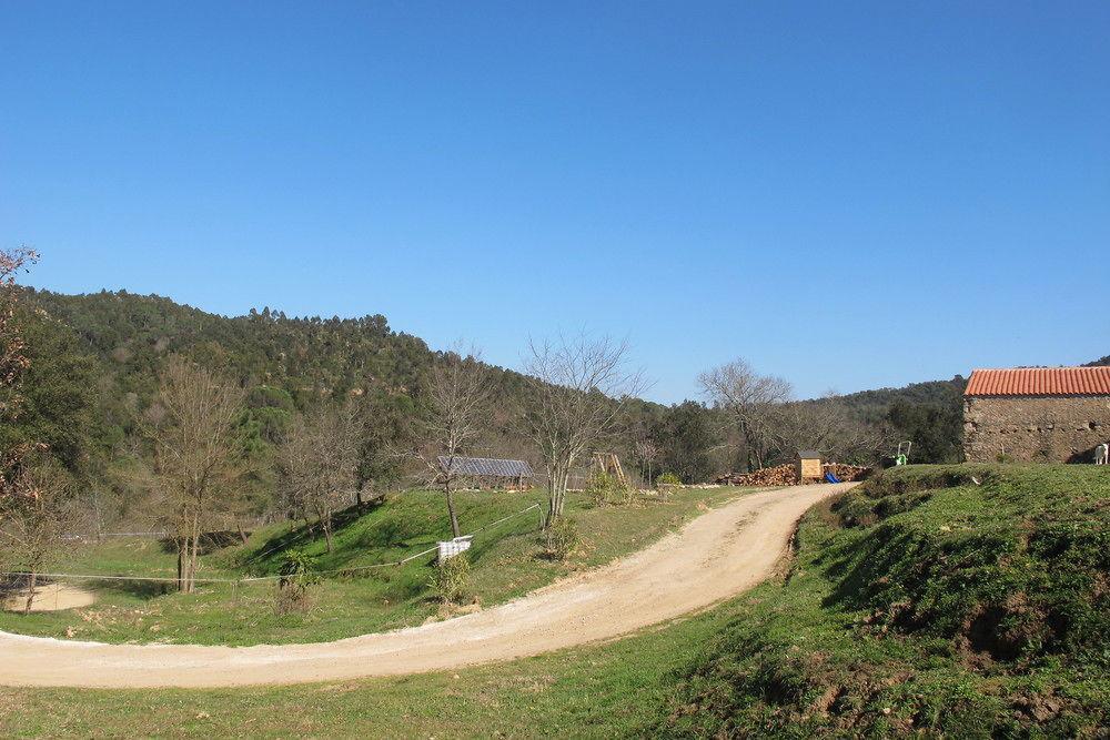 Mas Can Puig De Fuirosos La Batlloria Exteriör bild